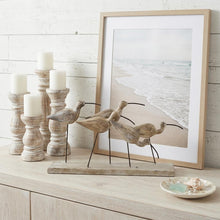 Load image into Gallery viewer, Coastal Plover Birds Tabletop Sculpture - Natural / Sand