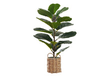 Load image into Gallery viewer, 28" Tall, Artificial Plant, Fiddle Tree, Indoor, Faux, Fake, Floor, Greenery, Potted, Real Touch, Decorative - Green / Beige