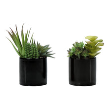 Load image into Gallery viewer, Artificial Succulent Plants (Set of 2)