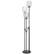 Load image into Gallery viewer, Three Light Traditional Shaped Floor Lamp With Clear Transparent Glass Novelty Shade - Black