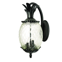 Load image into Gallery viewer, Lanai 3-Light Wall Light - Matte Black