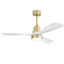 Load image into Gallery viewer, Indoor Ceiling Fan With Dimmable LED Light, 6 Speed Remote ControlLED DC Motor, Reversible Blades