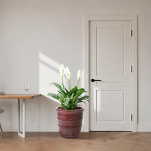 Load image into Gallery viewer, 3 Pieces Flowerpot, Planter For Patio, Garden Or Windowsills