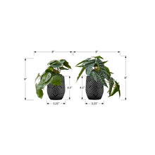 Load image into Gallery viewer, Artificial Alocasia Plant (Set of 2)