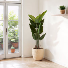 Load image into Gallery viewer, Artificial Plant For Indoor And Outdoor Decoration (Set of 2)