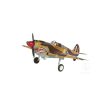 Load image into Gallery viewer, c1941 Curtiss Hawk 81A Large Sculpture - Yellow / Brown