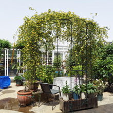 Load image into Gallery viewer, Metal Garden Arch Iron Garden Arbors Gazebo Dia High Birdcage Shape Pergola Pavilion For Wedding Ceremony