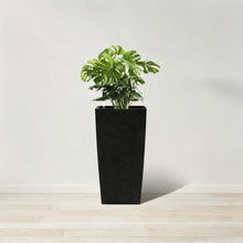 Load image into Gallery viewer, Indoor Outdoor Planter With Automatic Watering System