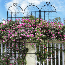Load image into Gallery viewer, Metal Garden Rustproof Trellis For Climbing Plants Outdoor Flower Support