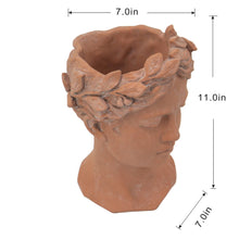 Load image into Gallery viewer, D7X11" Visage Head Bust Planter - Brown