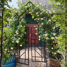 Load image into Gallery viewer, Garden Arch With Gate Climbing Plants Support Outdoor - Black