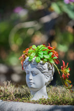 Load image into Gallery viewer, Greek Style Cement Head Planter Indoor Outdoor Home Garden Decor - Gray