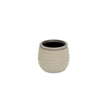Load image into Gallery viewer, Dotted Round Pot Planter - Beige / Gray