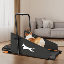 Load image into Gallery viewer, Dog Treadmill For Small To Medium Dogs With LED Display - Black / Orange