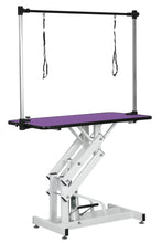 Load image into Gallery viewer, Hydraulic Pet Grooming Table With "H" Arm