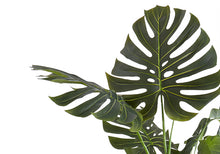 Load image into Gallery viewer, 55" Tall, Artificial Plant, Monstera Tree, Indoor, Faux, Fake, Floor, Greenery, Potted, Real Touch, Decorative - Green / Black