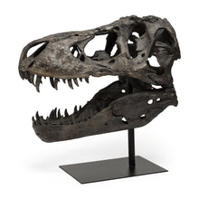 Load image into Gallery viewer, Authentic Replica T Rex Skull Sculpture - Brown