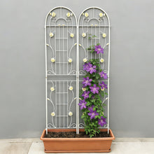 Load image into Gallery viewer, Metal Garden Trellis Rustproof Trellis For Climbing Plant Outdoor Flower Support