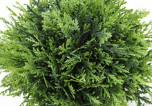 Load image into Gallery viewer, 5" Tall, Artificial Plant, Grass, Indoor, Faux, Fake, Table, Greenery, Potted, Decorative (Set of 3) - Green / Gray