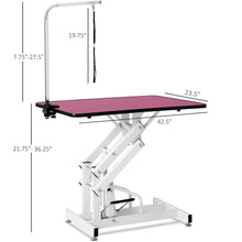 Load image into Gallery viewer, Hydraulic Pet Grooming Table