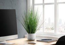 Load image into Gallery viewer, 21" Tall, Artificial Plant, Grass, Indoor, Faux, Fake, Table, Greenery, Potted, Real Touch, Decorative - Green / White