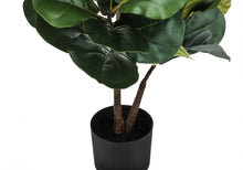 Load image into Gallery viewer, 49" Tall, Artificial Plant, Fiddle Tree, Indoor, Faux, Fake, Floor, Greenery, Potted, Real Touch, Decorative - Green / Black