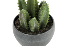 Load image into Gallery viewer, Artificial Succulent Plants (Set of 3)