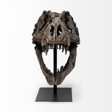Load image into Gallery viewer, Authentic Replica T Rex Skull Sculpture - Brown