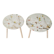 Load image into Gallery viewer, Nature-Inspired Side Tables (Set of 2)