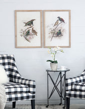 Load image into Gallery viewer, Bird Framed Print (Set of 2) - Multicolor