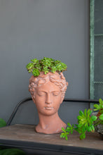 Load image into Gallery viewer, D7X11" Visage Head Bust Planter - Brown