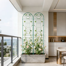Load image into Gallery viewer, Metal Garden Trellis Rustproof Trellis For Climbing Plant Outdoor Flower Support