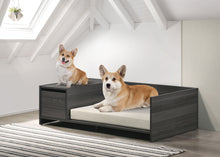 Load image into Gallery viewer, Esme - Wide Comfy Pet Bed With Cushion And Side Storage Compartment - Ash Gray