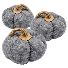 Load image into Gallery viewer, Pumpkin Ornament Decor For Holiday Harvest Festival Fall Festival & Thanksgiving (Set of 3)