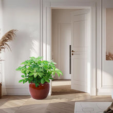 Load image into Gallery viewer, 3 Pieces Ceramic Flowerpot, Planter For Patio, Garden Or Windowsills