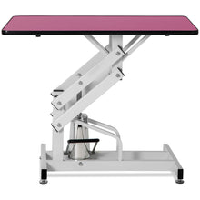 Load image into Gallery viewer, Hydraulic Pet Grooming Table