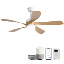 Load image into Gallery viewer, Ceiling Fan & DC Motor And Integrated Light