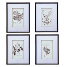 Load image into Gallery viewer, Botanical Wall Art Prints, Home Decor For Living Room Dining Room, Bedroom, Hallway (Set of 4) - White / Black