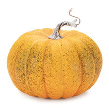 Load image into Gallery viewer, Plastic Pumpkin Thanksgiving Pumpkin Tabletop Sculpture (Set of 2) - Orange / Green