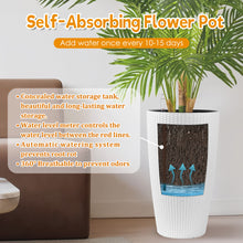 Load image into Gallery viewer, Tall Planters Set With Water Level Monitor And Auto Watering