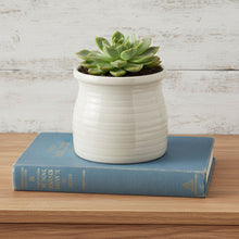 Load image into Gallery viewer, Striped Round Pot Planter - White
