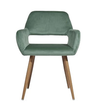 Load image into Gallery viewer, Velvet Arm Chair - Green And Brown