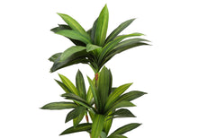 Load image into Gallery viewer, 51" Tall, Artificial Plant, Dracaena Tree, Indoor, Faux, Fake, Floor, Greenery, Potted, Real Touch, Decorative - Green / Black