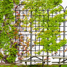 Load image into Gallery viewer, Metal Garden Rustproof Trellis For Climbing Plants Outdoor Flower Support
