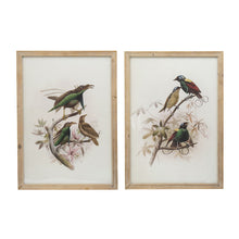 Load image into Gallery viewer, Bird Framed Print (Set of 2) - Multicolor