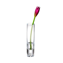 Load image into Gallery viewer, Cylindrical Free Bud Table Vase - Clear