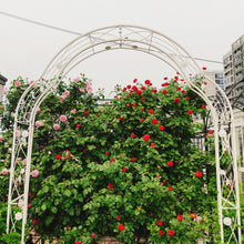 Load image into Gallery viewer, Metal Garden Arch Assemble Freely With 8 Styles Garden Arbor Trellis Climbing Plants Support Rose Arch