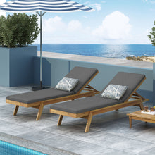 Load image into Gallery viewer, Nebulon - Outdoor Adjustable Chaise Lounge With Water Resistant Cushions (Set of 2)