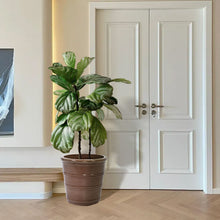 Load image into Gallery viewer, 3 Pieces Flowerpot, Planter For Patio, Garden Or Windowsills