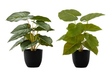 Load image into Gallery viewer, 13" Tall, Artificial Plant, Epipremnum, Indoor, Faux, Fake, Table, Greenery, Potted, Decorative (Set of 2) - Green / Black